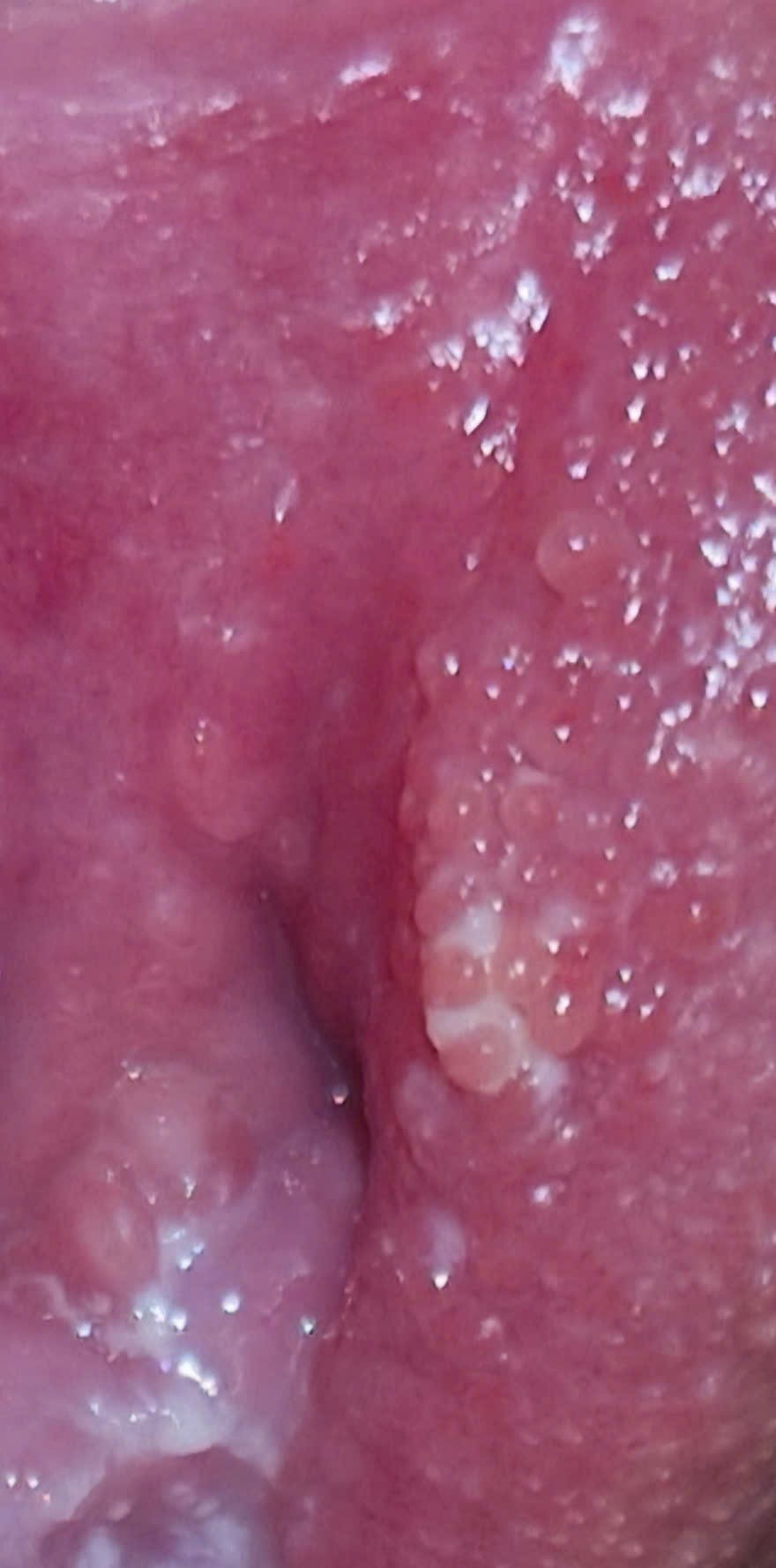 620086985 1289667036399490 1515259165824447017 n