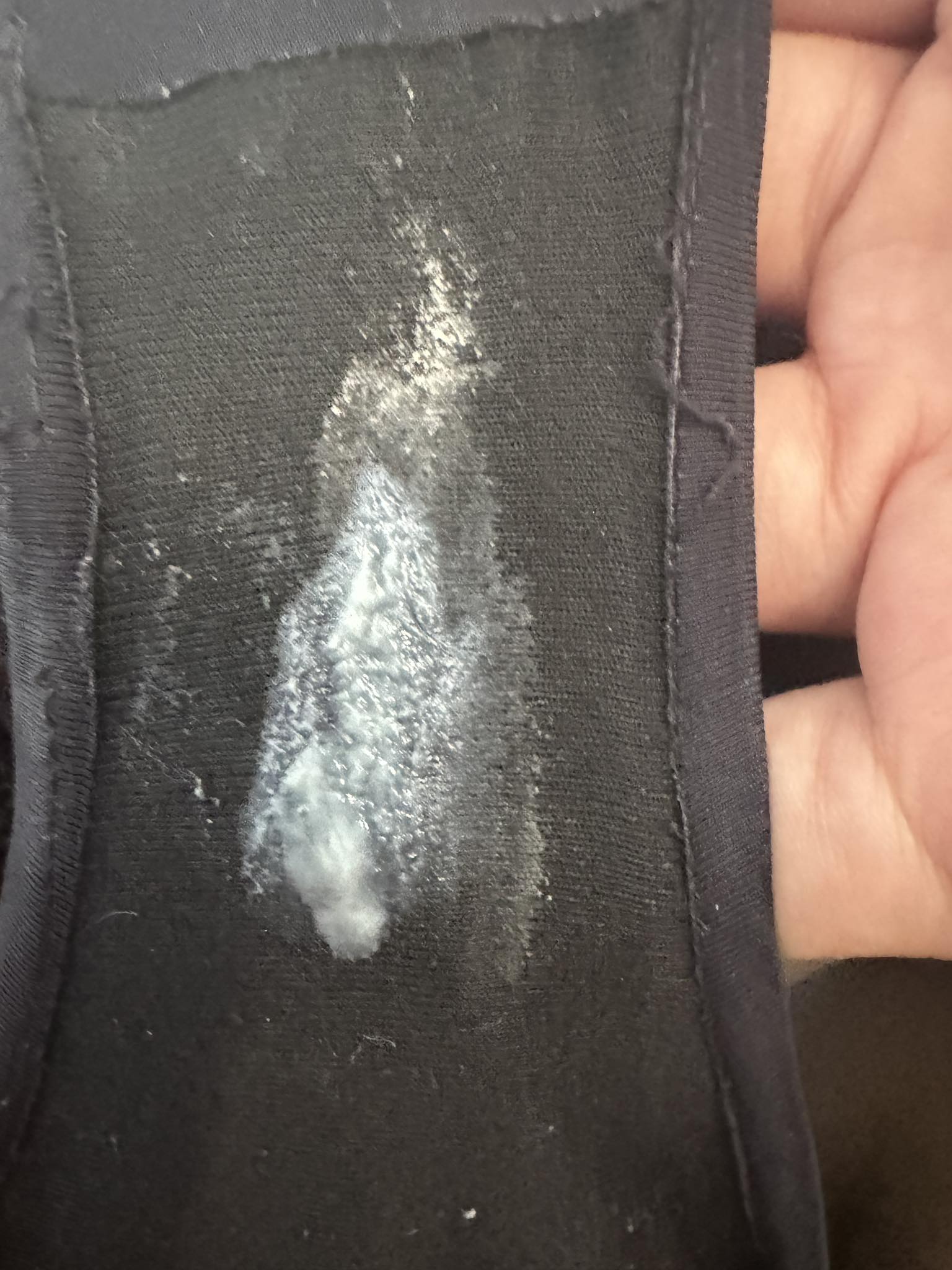 624734029 2094095188016384 7442483829007767091 n