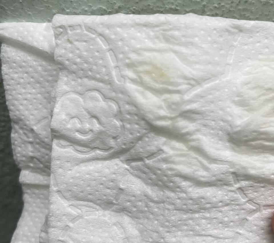 624959657 1478325630572873 2431523809977897495 n