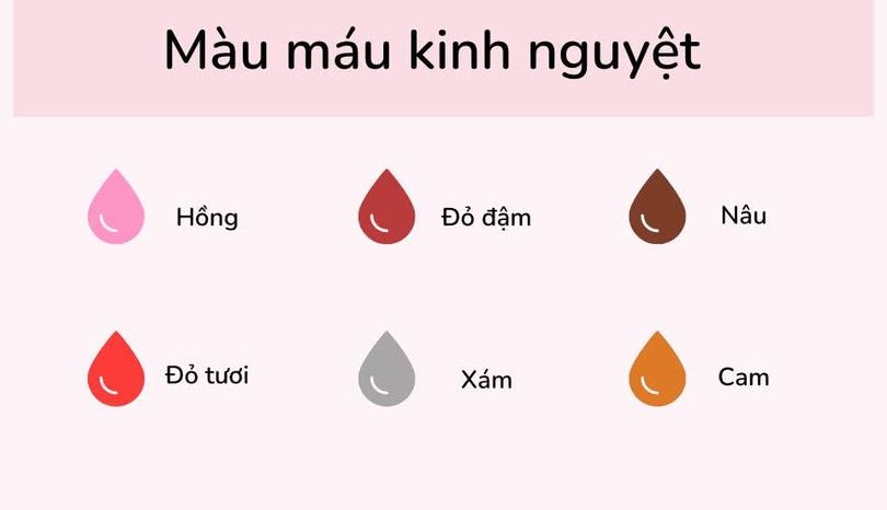 625081910 1207401518195939 7481102620236484078 n e1772092277201