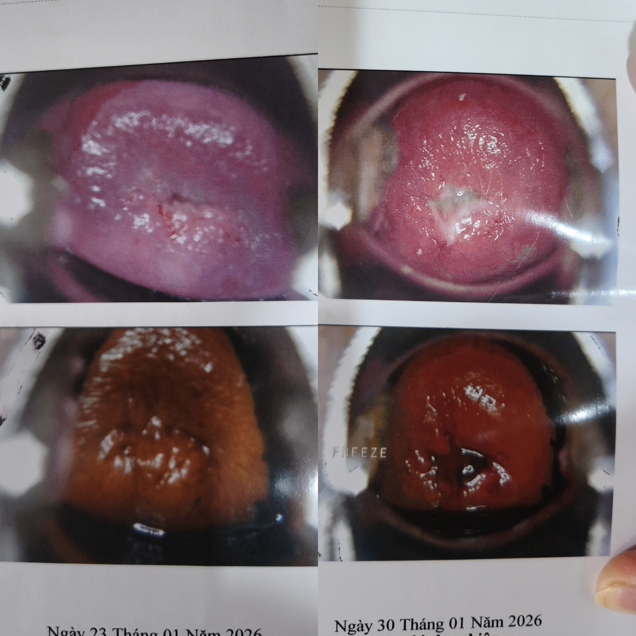 628309083 1603625787451107 4938913594480964962 n