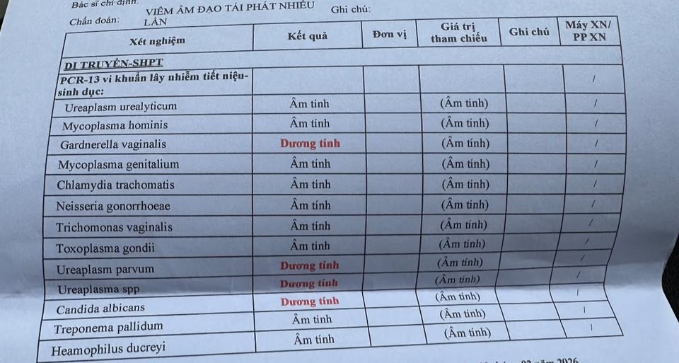 641521694 4343663762619697 4838733112948678931 n