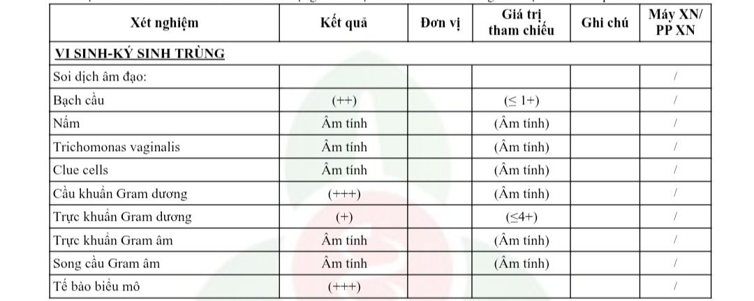 647200714 4349390575388214 4652229517506139668 n