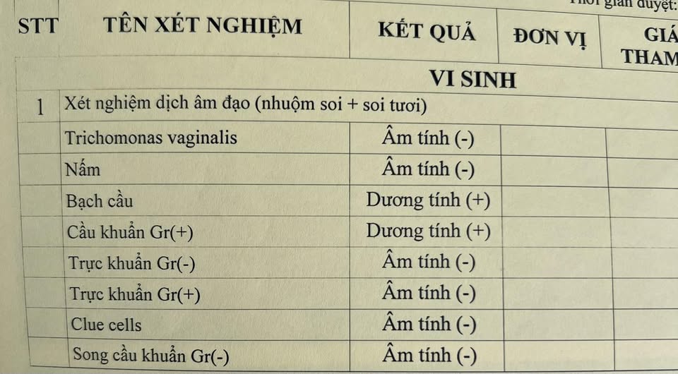 648098446 3962236370576297 7309333851719957179 n