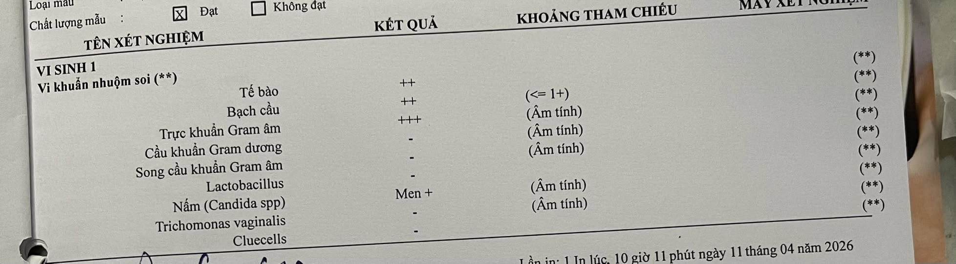 671029481 1619952772543438 5955321961017501652 n