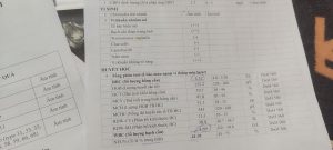 69e9d38b711c1 dau bung duoi